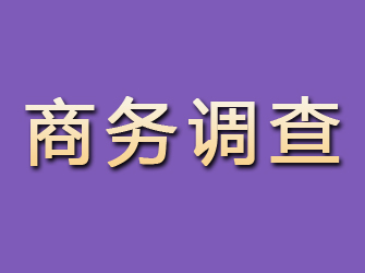 昌江县商务调查